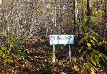 Tocht Stappen Bruyères-le-Châtel - bois de turpin - Photo