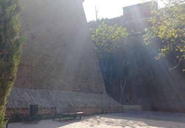 Excursión Senderismo Perpiñán -  Palais des Rois de Majorque - Photo