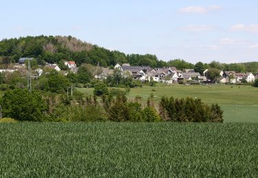 Excursión A pie Ruppach-Goldhausen - Themenweg Ton blau - Photo