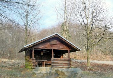 Tocht Te voet Auetal - L2 Rundwanderweg Lauenau Nr. 2 - Photo