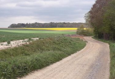 Excursión Senderismo Braine-l'Alleud - 15 kms campagne bra - Photo