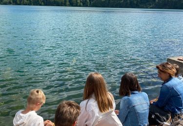 Percorso Marcia Besse-et-Saint-Anastaise - Lac pavin - Photo