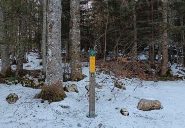 Randonnée Marche Malleval-en-Vercors - Patente - Photo