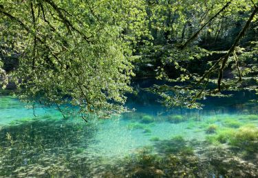 Trail Walking Anjeux - Anjeux - Source du Planey - Photo