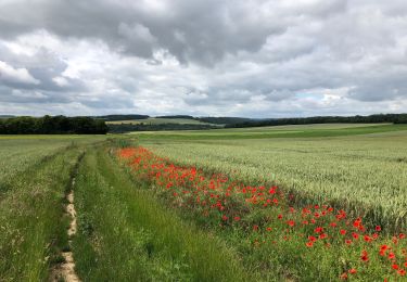 Tocht Elektrische fiets Amiens - Amiens Gouy les groseilliers  - Photo