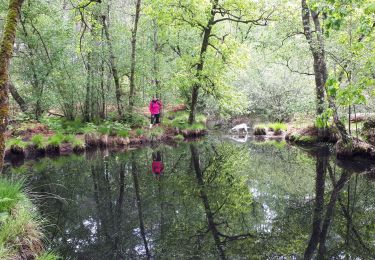 Tocht Stappen Ury - tmf ( Michel ) - Photo