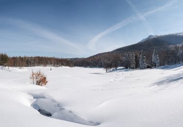 Percorso A piedi Ventasso - Nismozza - Bivacco Santa Maria Maddalena - Lago Calamone - Ventasso Laghi - Photo