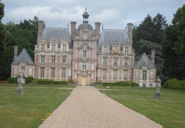 Randonnée Marche Mesnil-en-Ouche - 20220610-Beaumesnil - Photo
