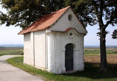 Tour Zu Fuß Zagersdorf - Siedlerweg der Poljanci - Photo