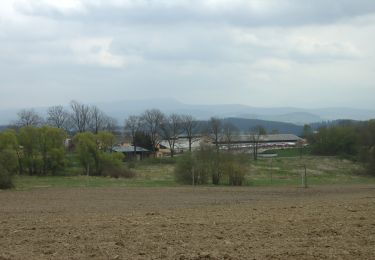 Randonnée A pied Furth im Wald - Fu61 (Daberger Rundweg) - Photo