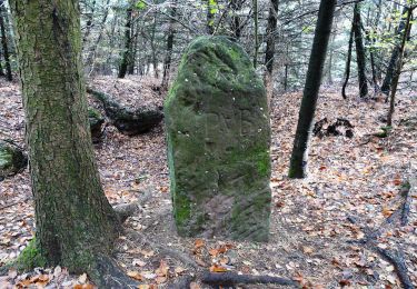 Trail On foot Saint-Jean-Saverne - Circuit Archéologique d'Ernolsheim-lès-Saverne - Photo