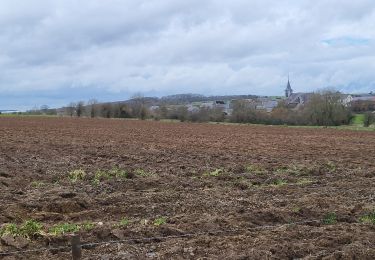 Tocht Stappen Cerfontaine - Villers Deux Églises 130323 - Photo