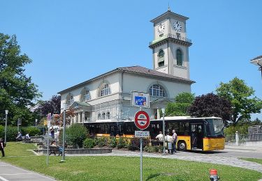 Randonnée A pied Heiden - Gesundheitsweg - Photo