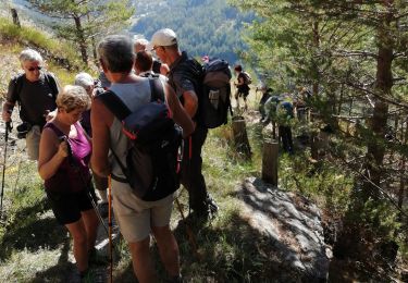 Tocht Stappen Château-Ville-Vieille - boucle du rouet - Photo