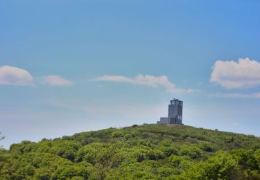 Tour Zu Fuß Bourg-Argental - Pilat Nº2: Bourg-Argental - Le Grand Bois - Photo