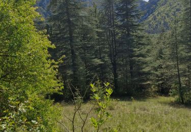 Tocht Stappen Saou - Saou : Auberge des Dauphins  Chapelle Saint-Médar11km. - Photo