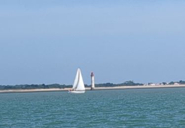 Randonnée Voilier  - randonnée aquatique Ile de Ré Oléron  - Photo