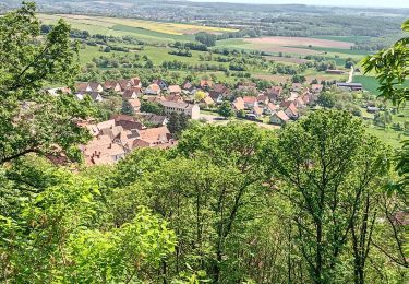 Trail Walking Oberbronn - Oberbronn  - Photo