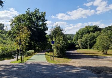 Tocht Stappen Waimes - GR 56 BUTCHENBACH - WEYWERTZ - FAYMONVILLE - WAIMES - VAL D'ARIMONT - MALMEDY  - Photo