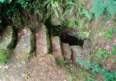 Tour Wandern Querrien - QUERRIEN  - Photo