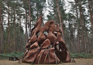 Tocht Te voet Genk - Kattevennen - Papendaalheide - Sledderlo Gele zeshoek - Photo