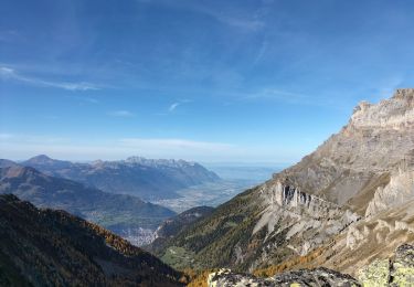 Tour Wandern Dorénaz - le Diabley  - Photo