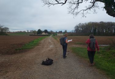 Trail Walking Ger - balisage 11 - Photo