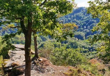 Tour Wandern Vresse-sur-Semois - Promenade de la Table des Fées à Bohan - Photo