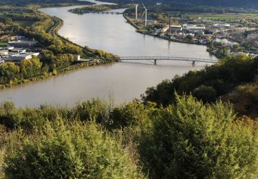 Tour Wandern Le Pouzin - Balcon de l'Ouvèze  - Photo