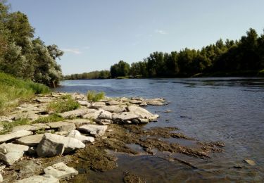 Tocht Stappen Monétay-sur-Allier - montenay sur allier - Photo