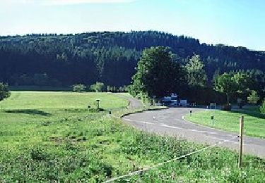 Percorso A piedi Kenzingen - Bleichheim - Raubühl - Photo