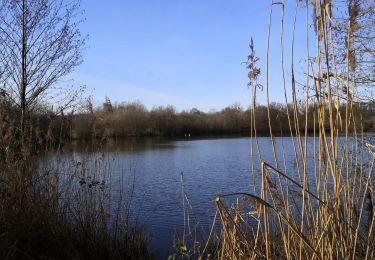 Tour Wandern Brognard - tour des étangs de Brognard  - Photo