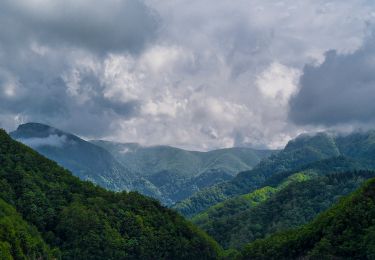 Percorso A piedi Bagno di Romagna - Un anello da Ridracoli al Rifugio di Cà di sopra - Photo