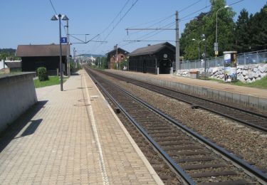 Tour Zu Fuß Gemeinde Neulengbach - Neulengbach (Bhf) - Buchberg - Photo