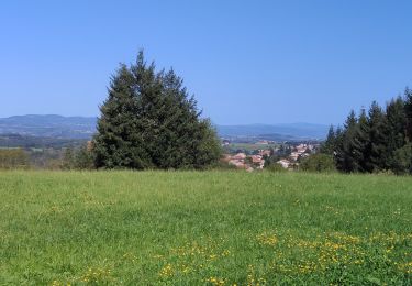 Tocht Stappen Périgneux - Marche de 10 km de la Fanandrette  - Photo