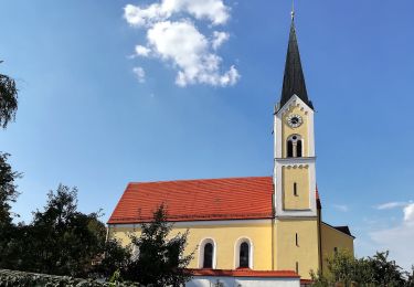 Tocht Te voet Wolnzach - Hopfenlehrpfad - Photo