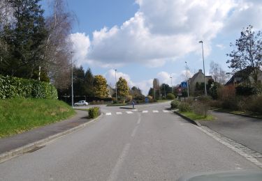 Percorso A piedi Orgères - Circuit des deux Monts et du Télégraphe - Photo