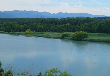 Tocht Wegfiets Chatuzange-le-Goubet - Le Goubet/col de Tourniol/Leoncel/St Nazaire en Rs/retour par la voie verte  - Photo