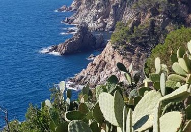 Trail Walking Tossa de Mar - Wikiloc - Tossa de Mar à plage llevadó - Photo
