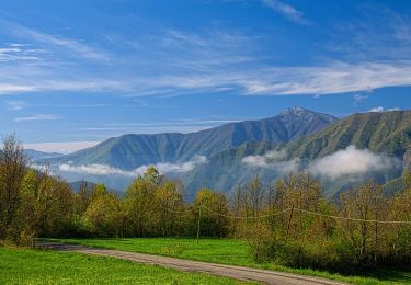 Tour Zu Fuß Corte Brugnatella - Marsaglia - Lago - Poggio Rondino - Montarsolo - Pieve di Montarsolo - Pietranera - Photo