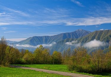 Percorso A piedi Corte Brugnatella - Marsaglia - Lago - Poggio Rondino - Montarsolo - Pieve di Montarsolo - Pietranera - Photo