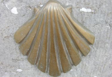 Percorso Marcia Bièvre - Sur les pas des saints  - Photo