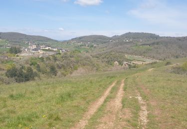 Excursión Bici de montaña Lissac-sur-Couze - lac du causse,  circuit 10 - Photo