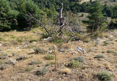 Tour Wandern Saint-Vallier-de-Thiey - Col de la faye / col du ferie  - Photo