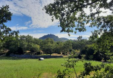 Trail Walking Saint-Laurent-sous-Coiron - St Laurent sous Coiron La Louyre 19km - Photo