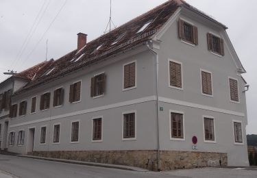 Tocht Te voet Sankt Ruprecht an der Raab - Panoramawanderweg - Photo