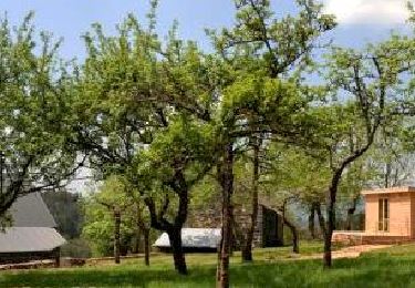 Trail Walking Saint-Ours - St_Ours_Le_Bouchet - Photo