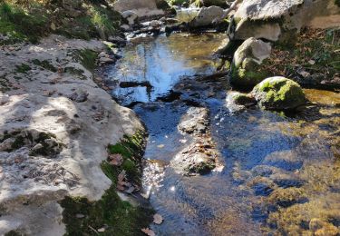 Tocht Stappen Tourves - Le Caramy Amis  - Photo