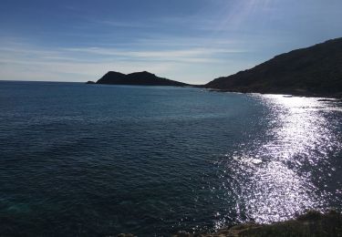 Tour Wandern Ramatuelle - Cap Taillâtes - Photo