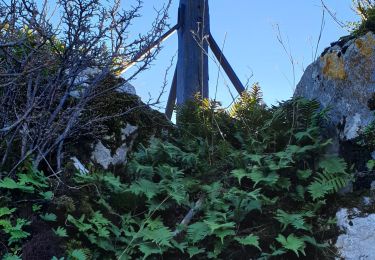 Tour Wandern Bélesta - Boucle Fontestorbes Millet Gelat Rieufourcant et retour - Photo